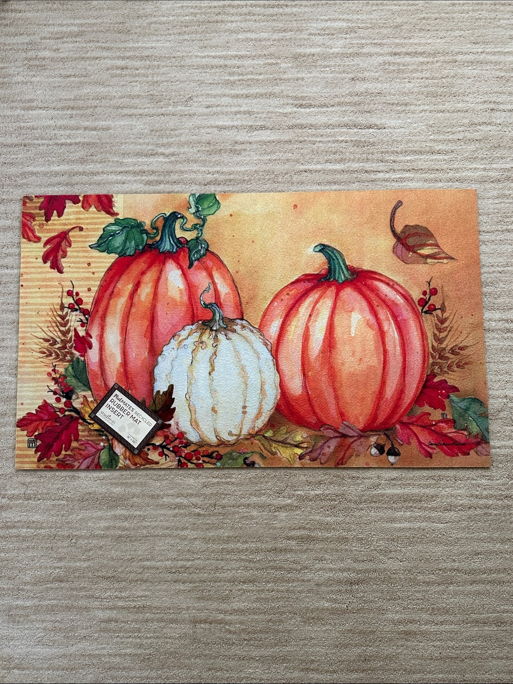 Door mat MatMates Studio M Pumpkin Fall Season Entryway 18x30